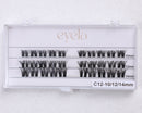 C12